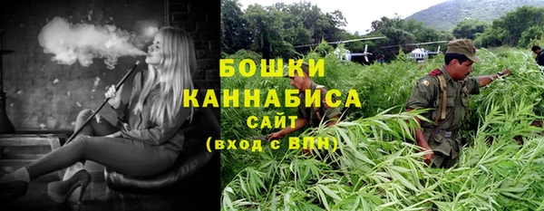 стафф Богородск