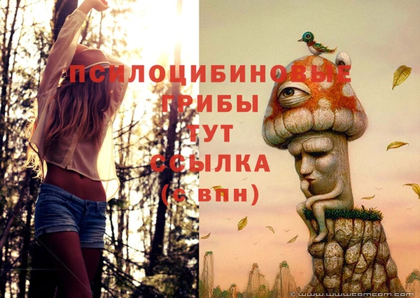 героин Богородицк