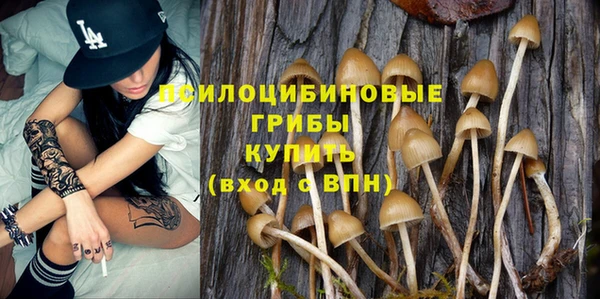 стафф Богородск