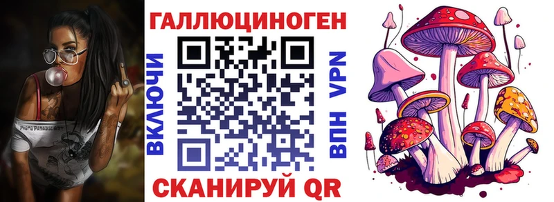 Псилоцибиновые грибы Psilocybe  blacksprut вход  Чёрмоз  где найти  